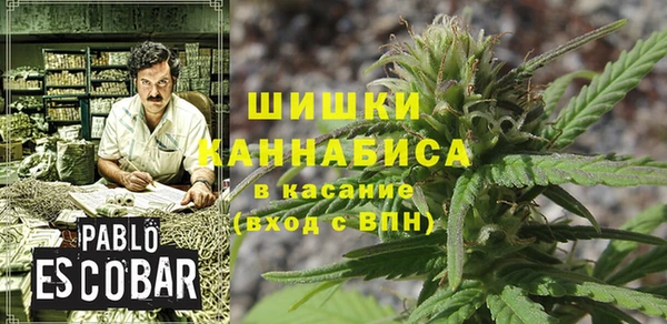 винт Алзамай