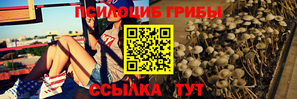Галлюциногенные грибы GOLDEN TEACHER Железноводск